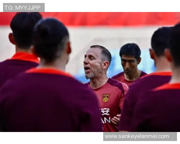 成都足球队球员实力榜单出炉最新个人能力TOP10引发热议