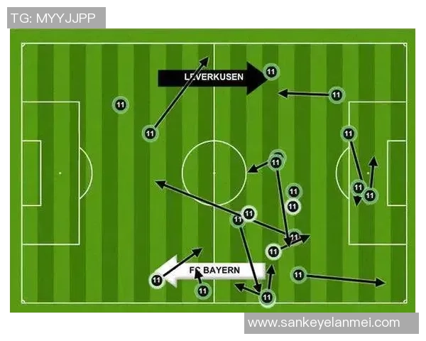 南京羽毛球队在邀请赛中的战术运用与表现分析